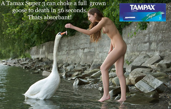 tampox